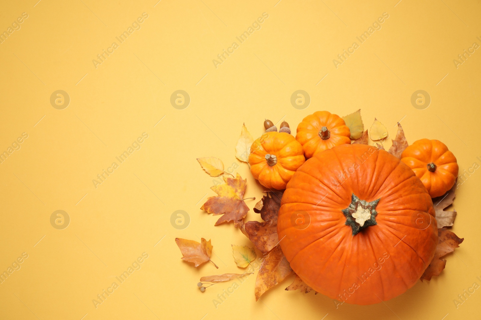 Photo of Flat lay composition with different ripe pumpkins and autumn leaves on yellow background. Space for text