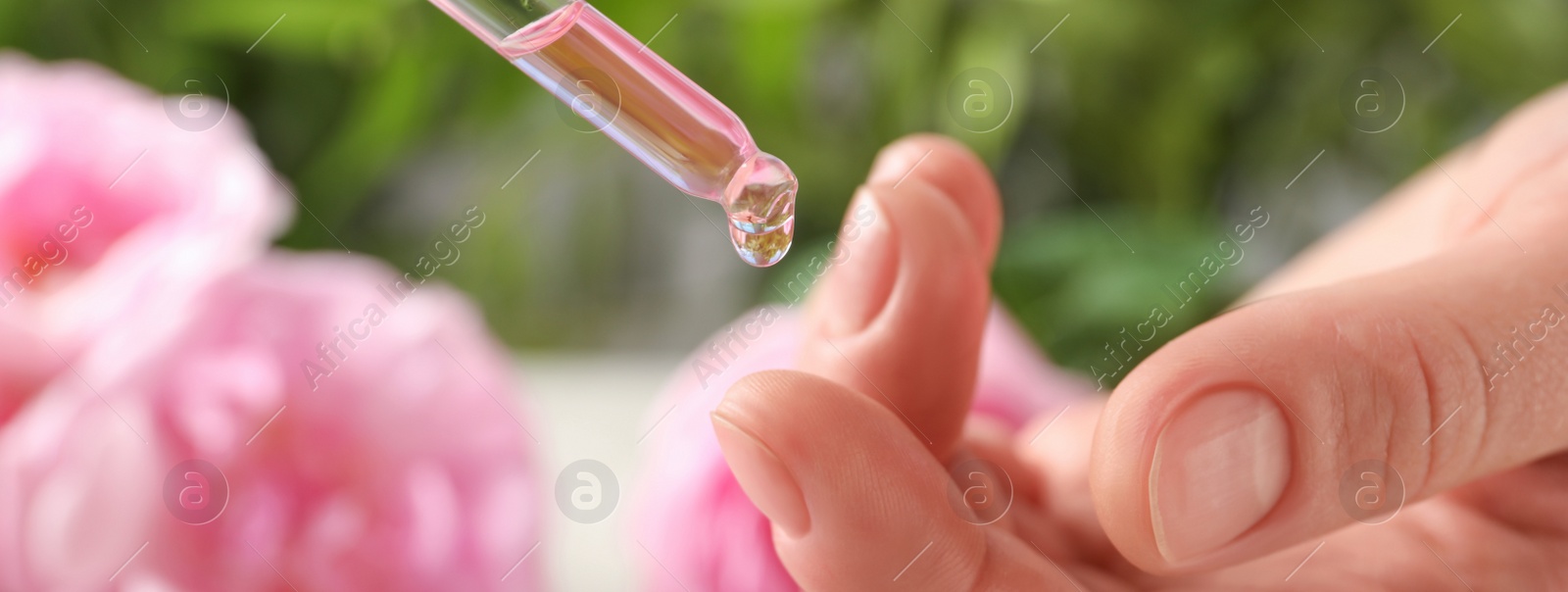 Image of Woman dripping rose essential oil on finger, closeup. Banner design