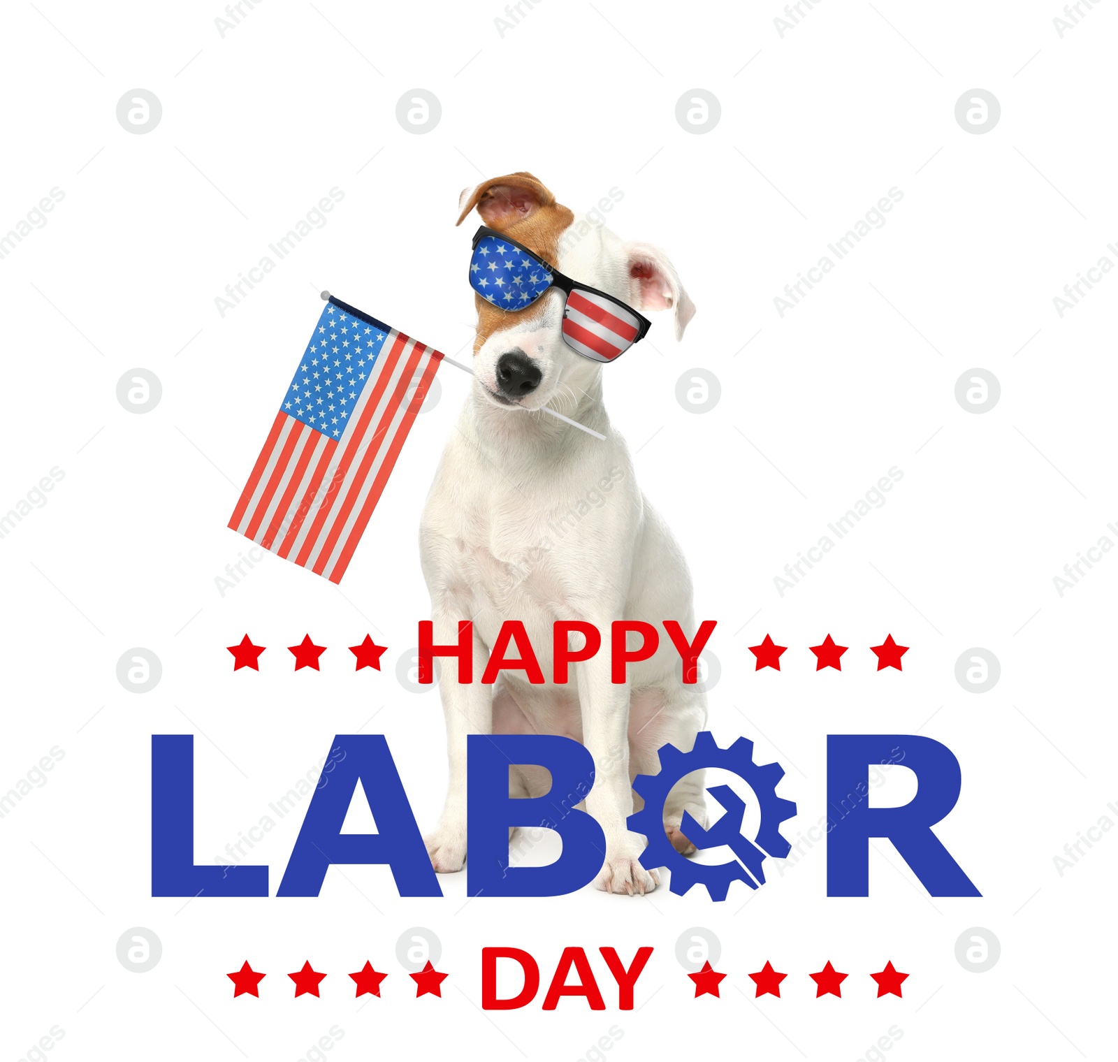 Image of Happy Labor Day. Cute dog with sunglasses and American flag on white background