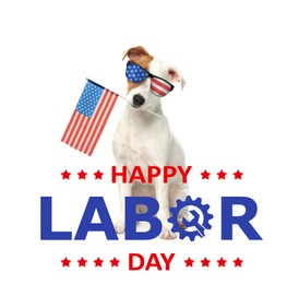 Happy Labor Day. Cute dog with sunglasses and American flag on white background