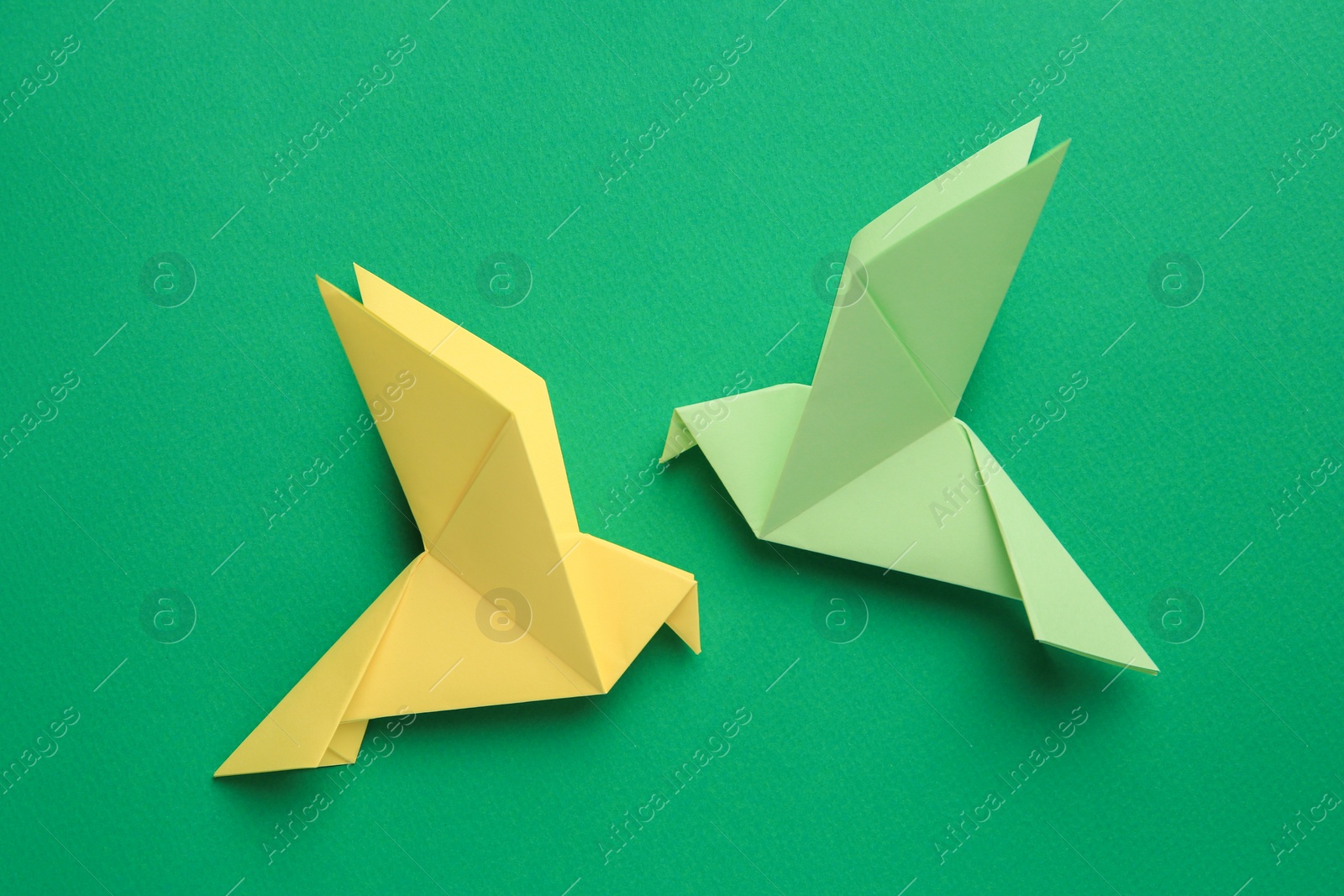 Photo of Beautiful colorful origami birds on green background, flat lay