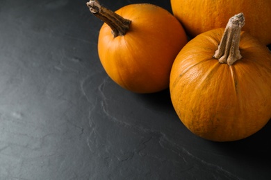 Ripe pumpkins on black background, space for text. Holiday decoration