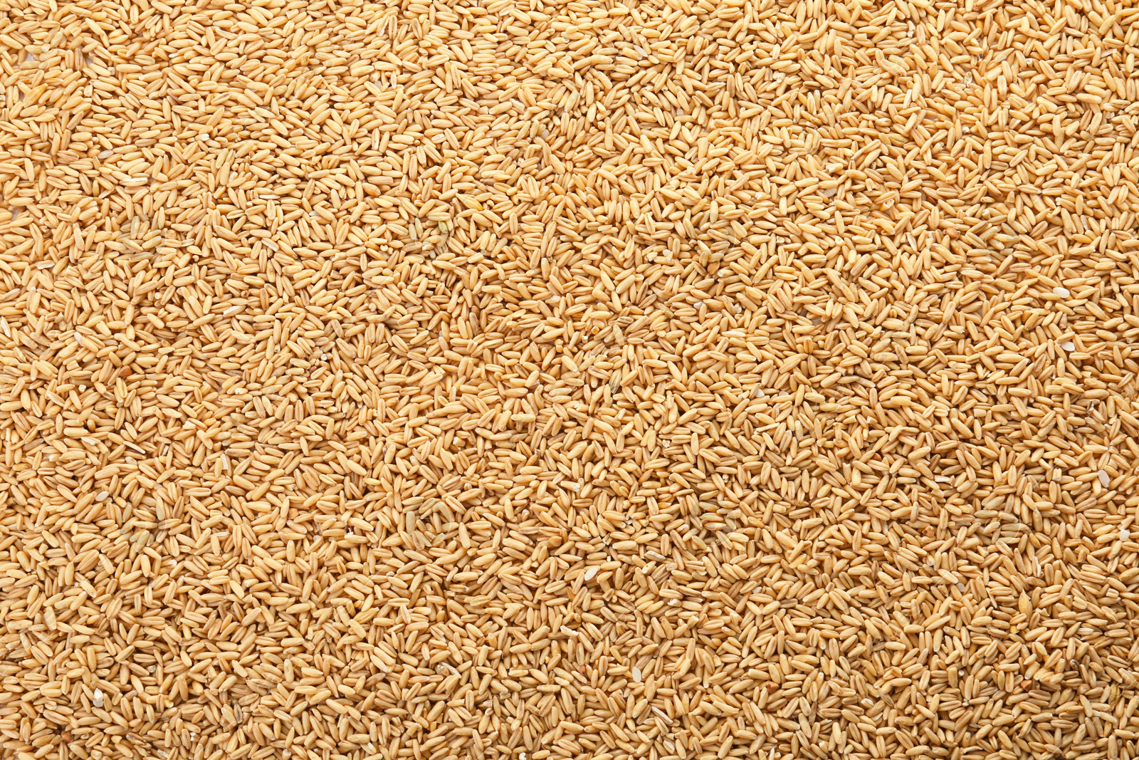 Photo of Raw rye as background. Healthy grains and cereals