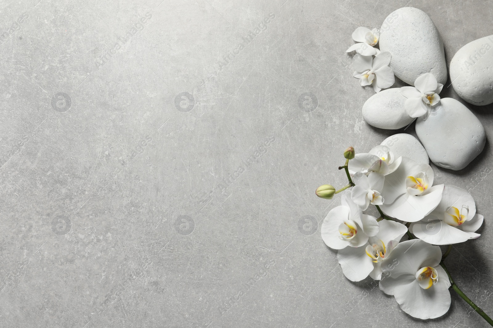 Photo of Flat lay composition with spa stones and orchid flowers on grey background. Space for text