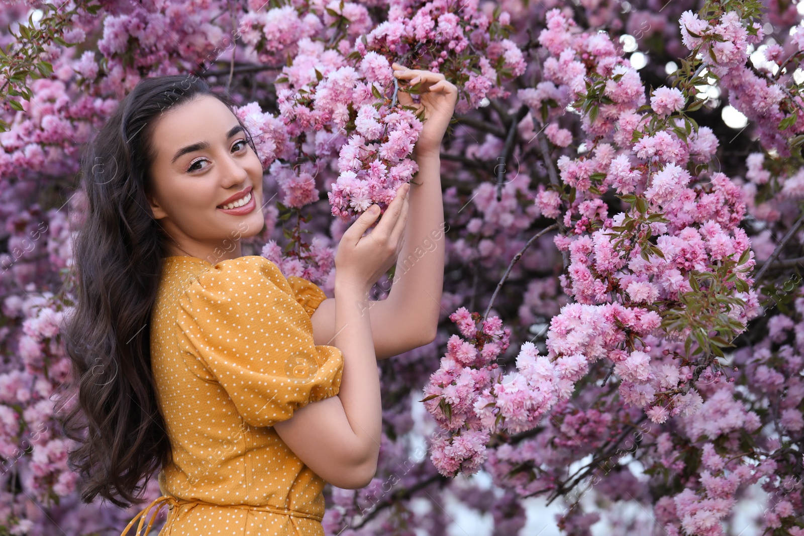 Photo of Beautiful woman near blossoming sakura tree on spring day