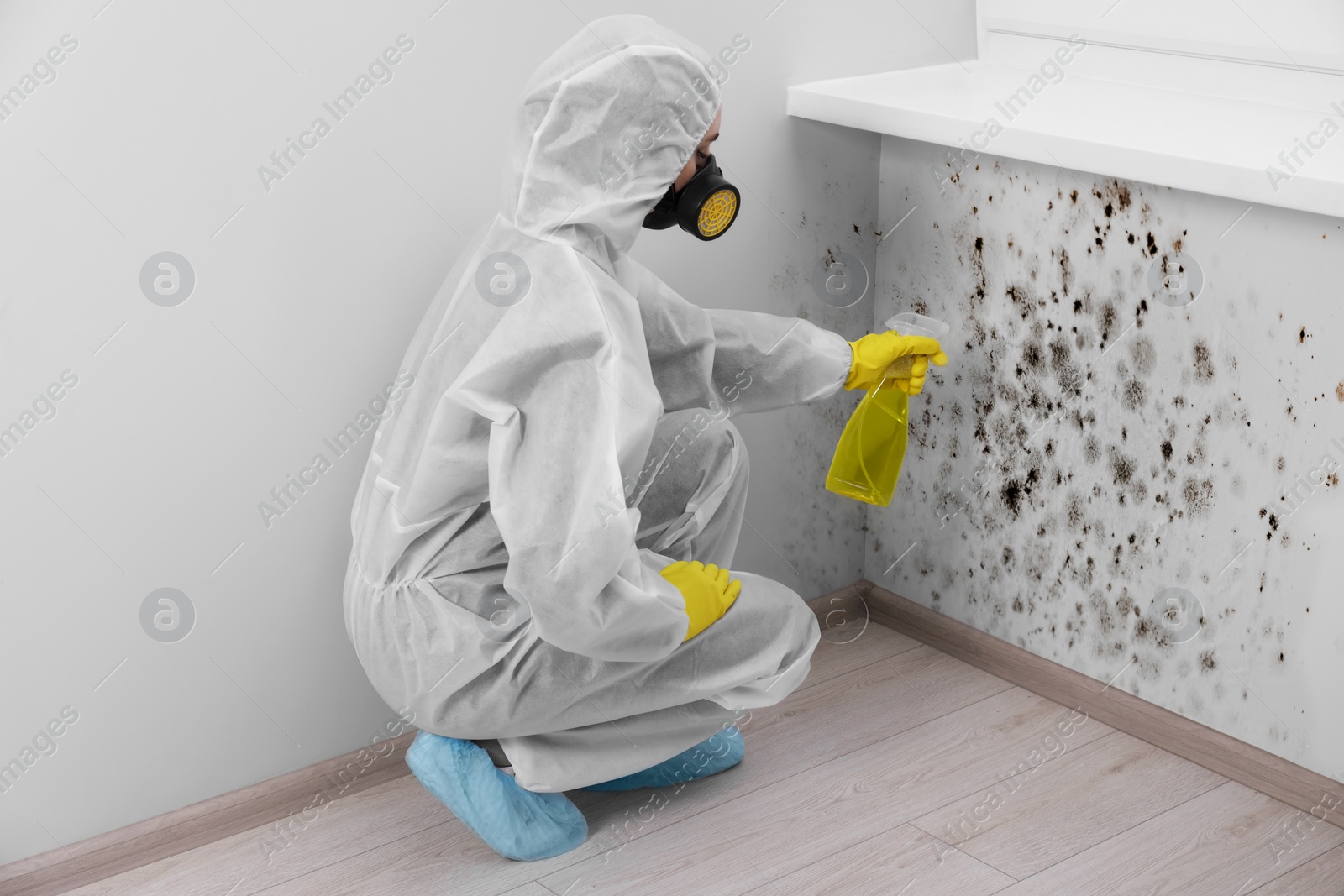 Image of Woman in protective suit and rubber gloves using mold remover on wall