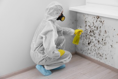 Woman in protective suit and rubber gloves using mold remover on wall