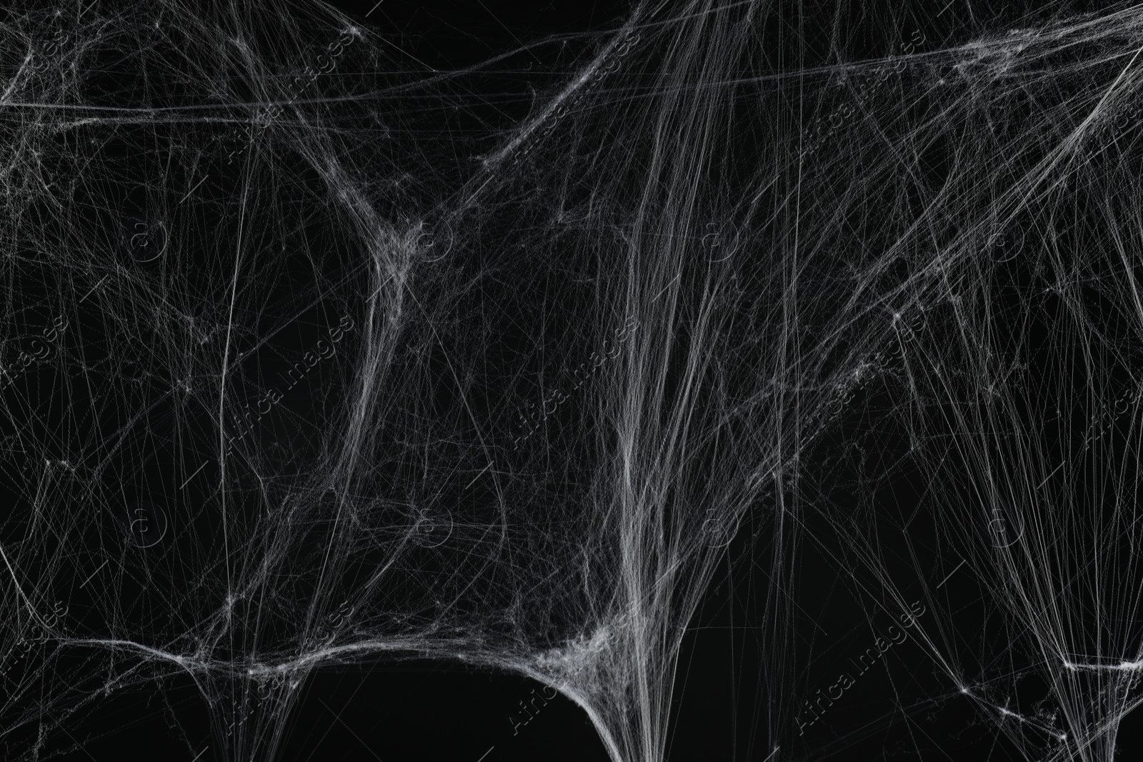 Photo of Creepy white spider web on black background