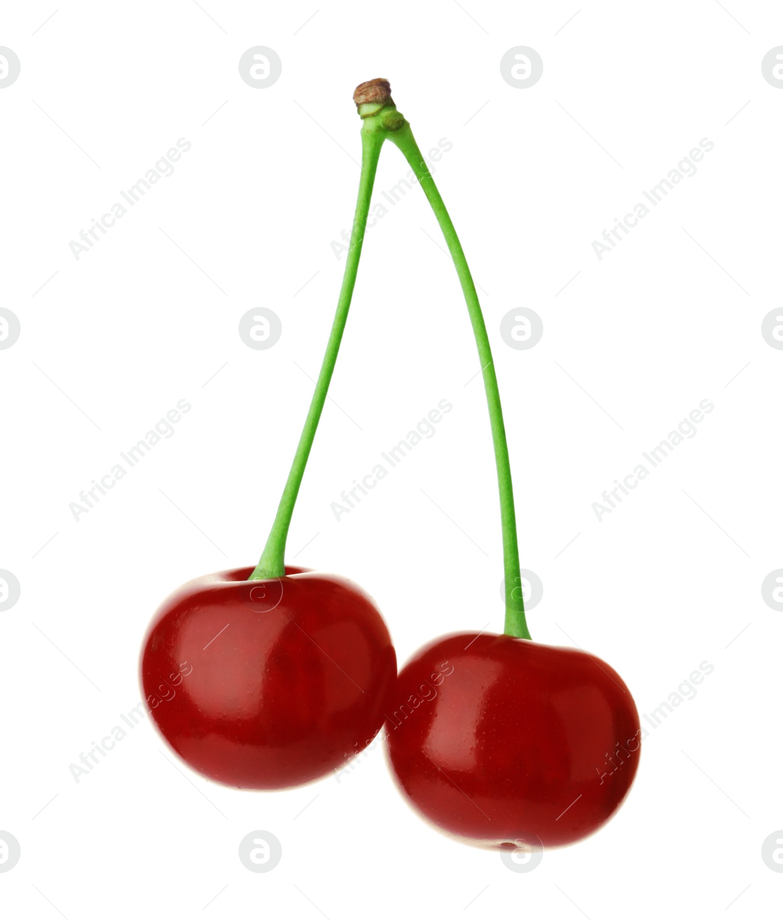 Photo of Delicious ripe sweet cherries isolated on white