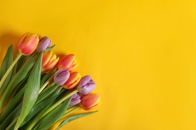 Photo of Many beautiful tulips on yellow background, flat lay. Space for text