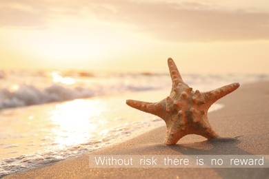 Image of Without Risk There Is No Reward. Inspirational quote motivating to be venturous and to make attempts towards reaching goals. Text against view of sea star in golden sand near ocean during sunrise