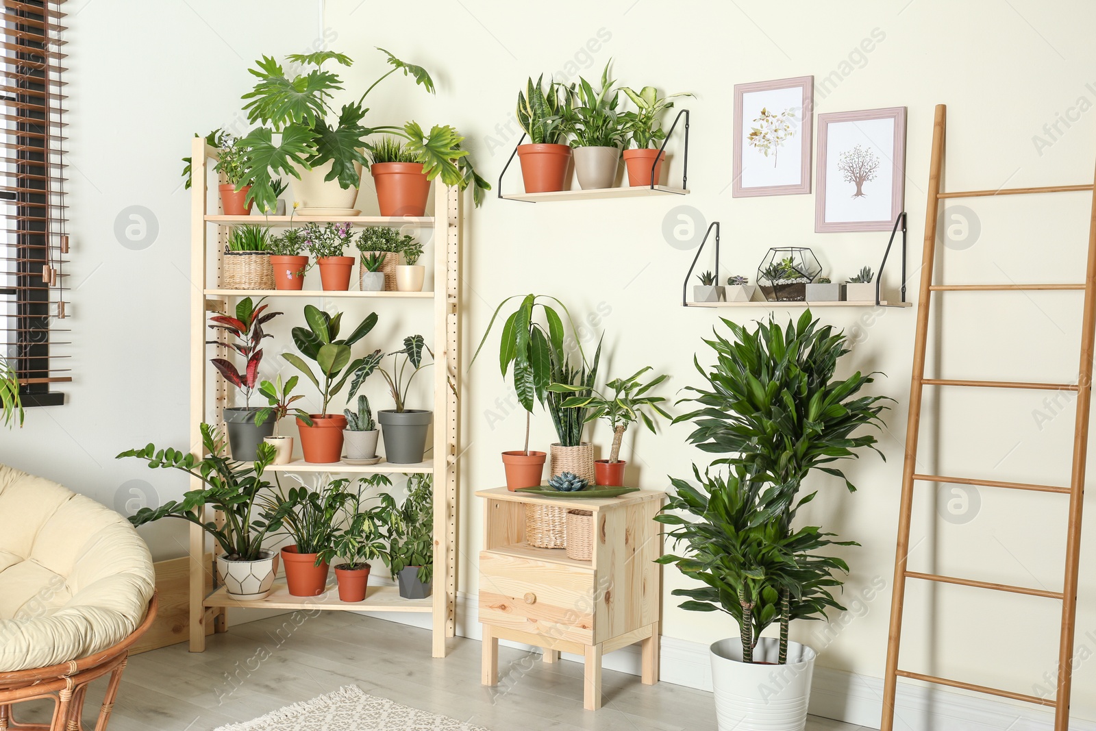 Photo of Stylish room interior with different home plants