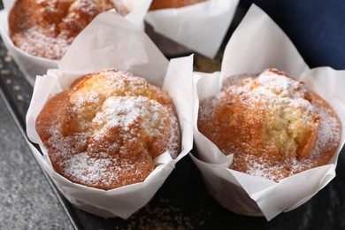 Delicious muffins with powdered sugar on grey table, closeup