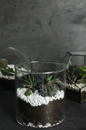 Glass florariums with different succulents on table against grey background, space for text