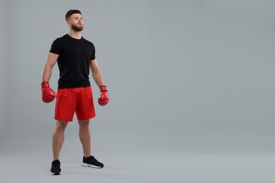 Man in boxing gloves on grey background. Space for text