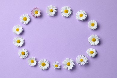 Photo of Frame of daisy flowers on lilac background, flat lay. Space for text