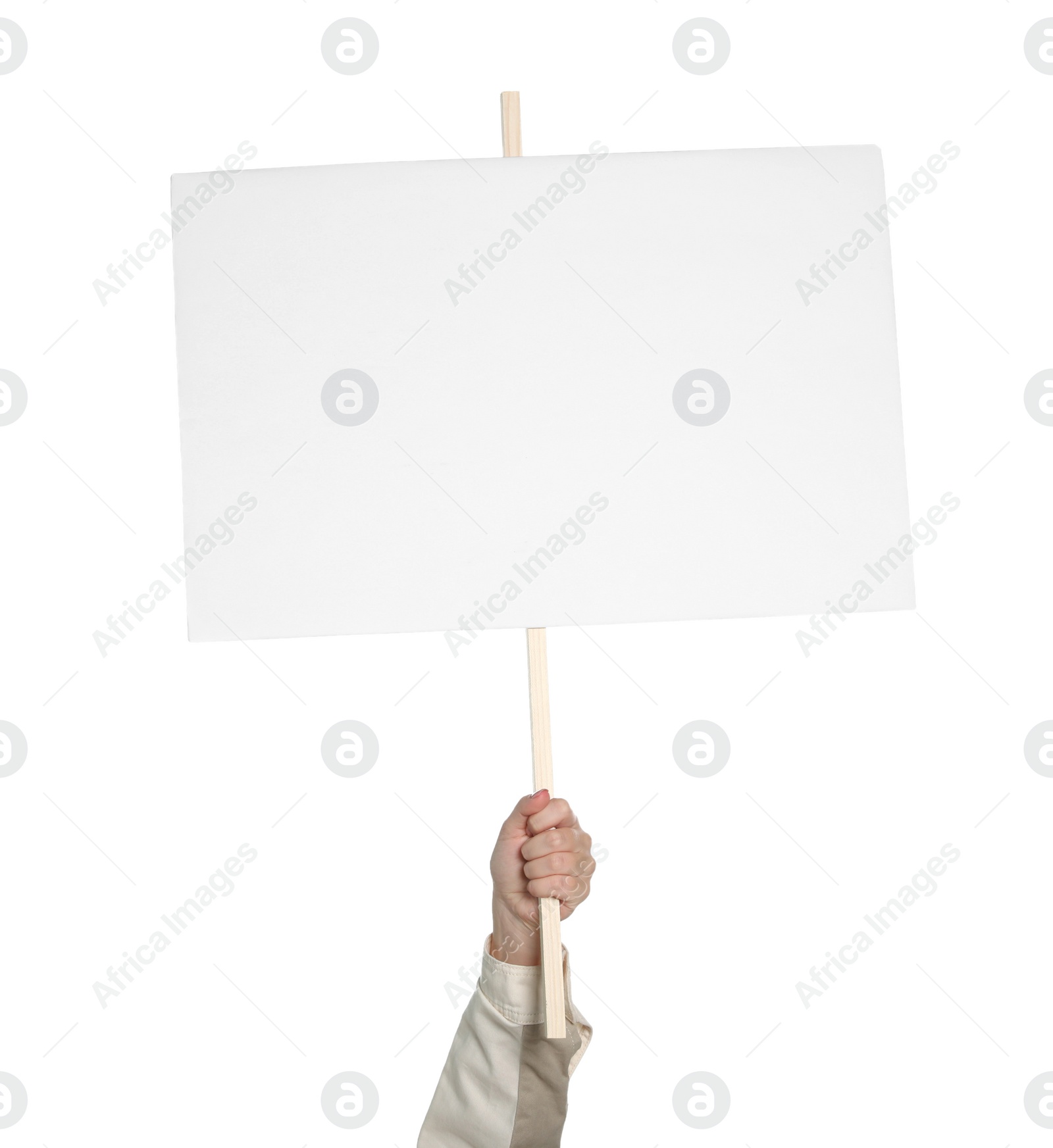 Photo of Woman holding blank protest sign on white background, closeup