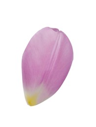 Photo of Beautiful fresh tulip petal isolated on white