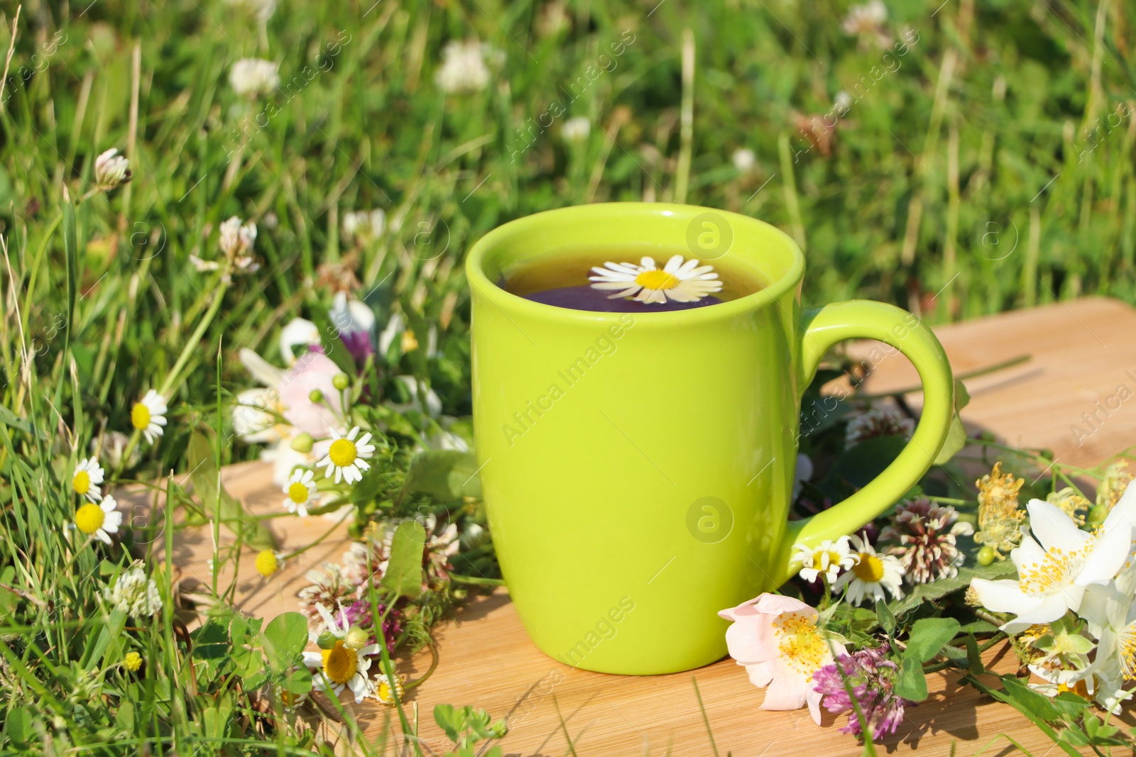 Photo of Green cup with tea, different wildflowers and herbs on wooden board in meadow