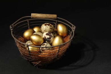 Photo of Golden and ordinary quail eggs in metal basket on black background. Space for text