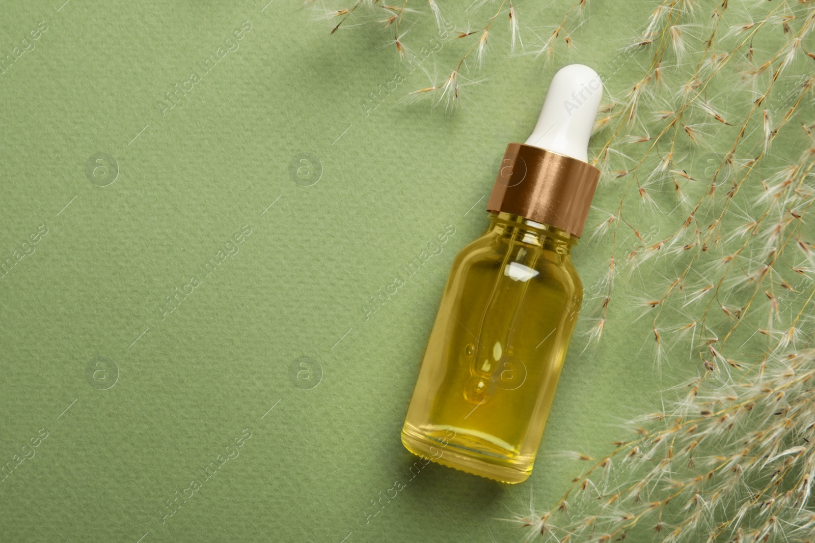 Photo of Bottle of face serum and dried flowers on light green background, flat lay. Space for text