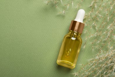 Photo of Bottle of face serum and dried flowers on light green background, flat lay. Space for text