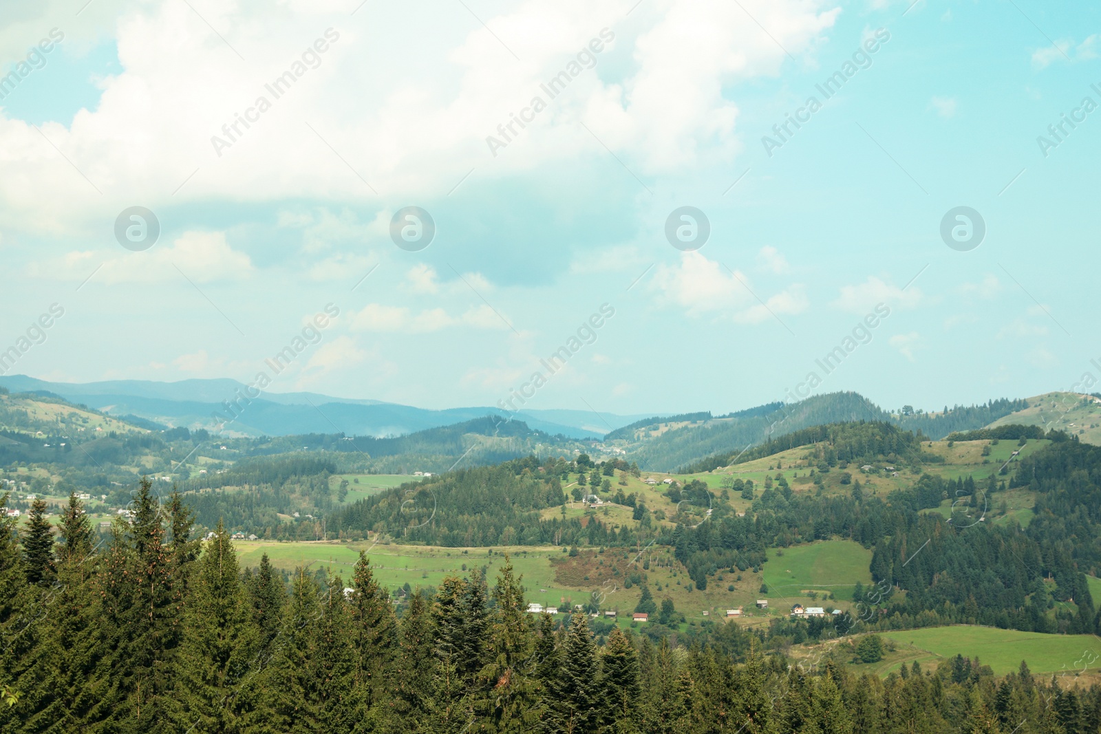 Photo of Beautiful landscape with forest and mountain slopes