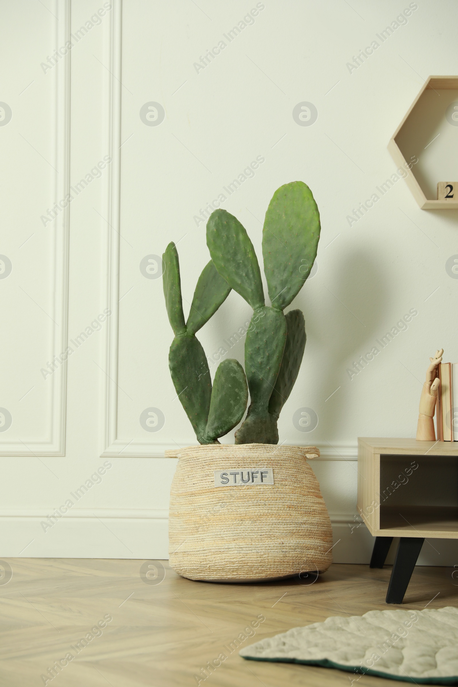 Photo of Stylish room interior with beautiful potted cactus and wooden table