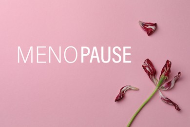 Photo of Red tulip and word Menopause on pink background, top view