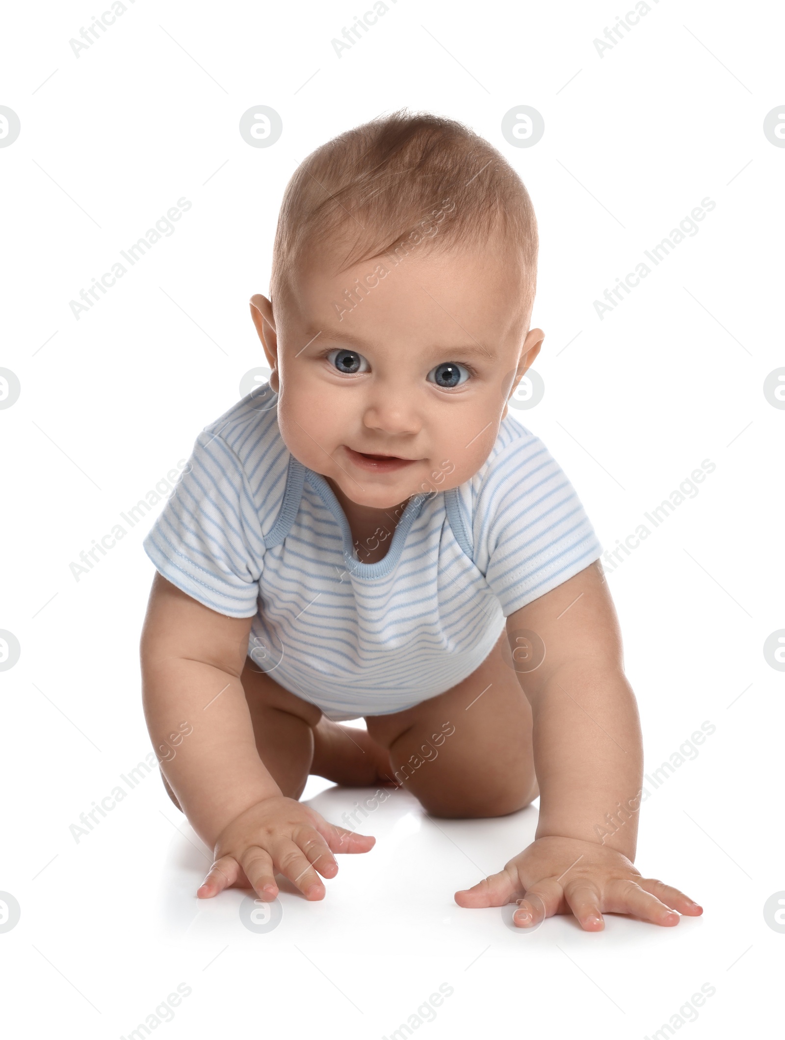 Photo of Cute little baby boy crawling on white background