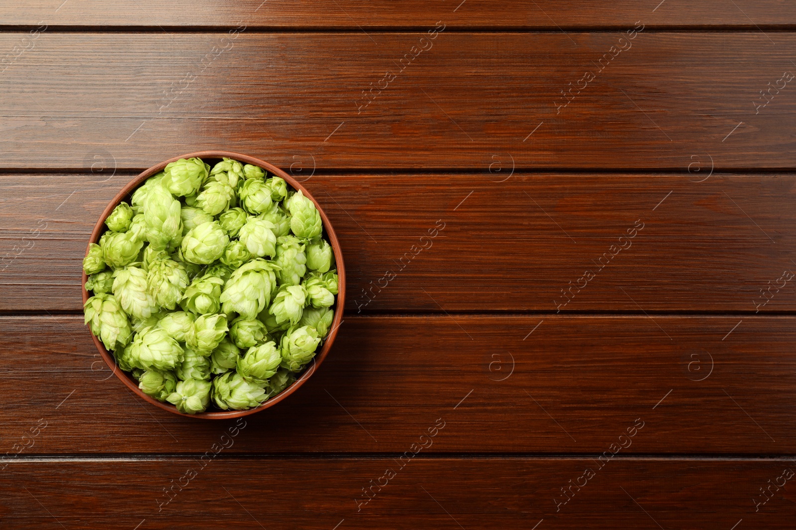 Photo of Bowl with fresh green hops on wooden table, top view. Space for text