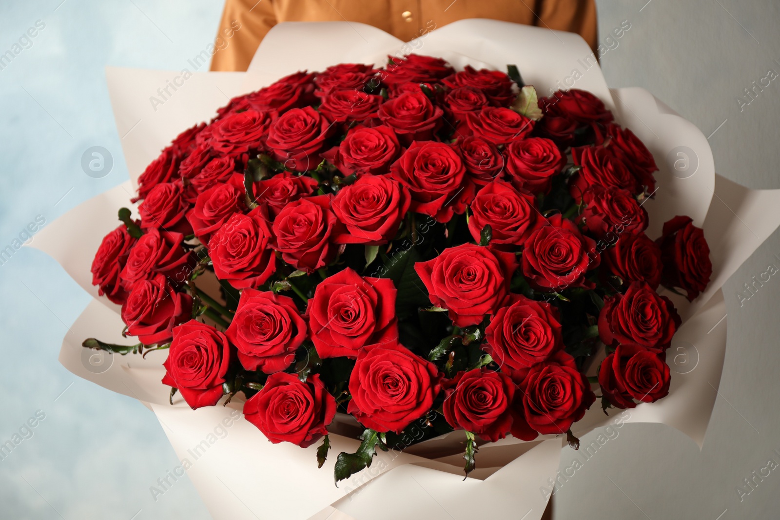 Photo of Woman holding luxury bouquet of fresh red roses on light background, closeup