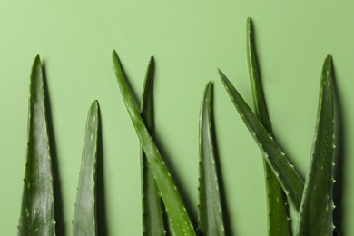 Photo of Fresh aloe vera leaves on light green background, flat lay