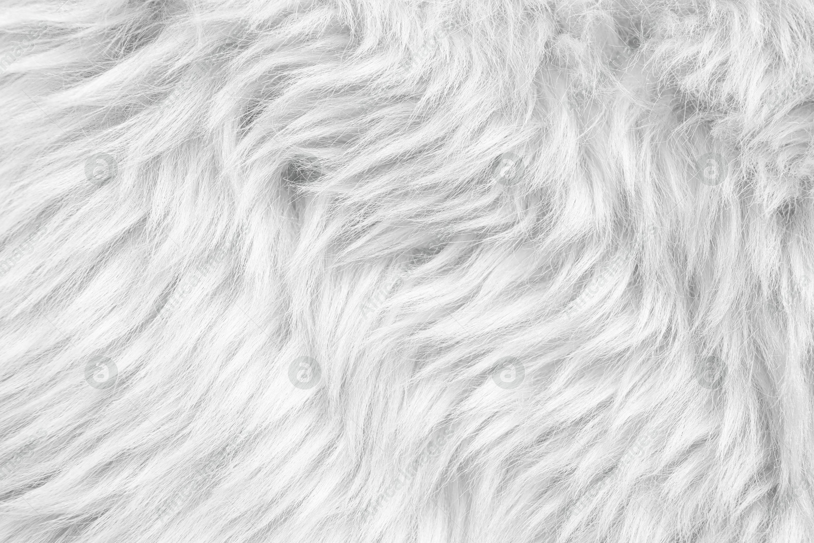 Image of Texture of white faux fur as background, closeup