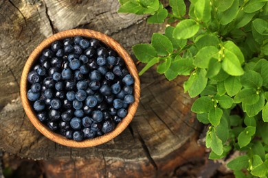 Photo of Wooden bowl of delicious bilberries and green leaves on stump, flat lay