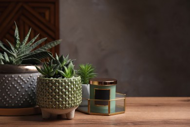 Photo of Beautiful Haworthia and Gasteria in pots with decor on wooden table, space for text. Different house plants