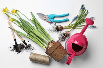 Composition with gardening equipment on white background, top view