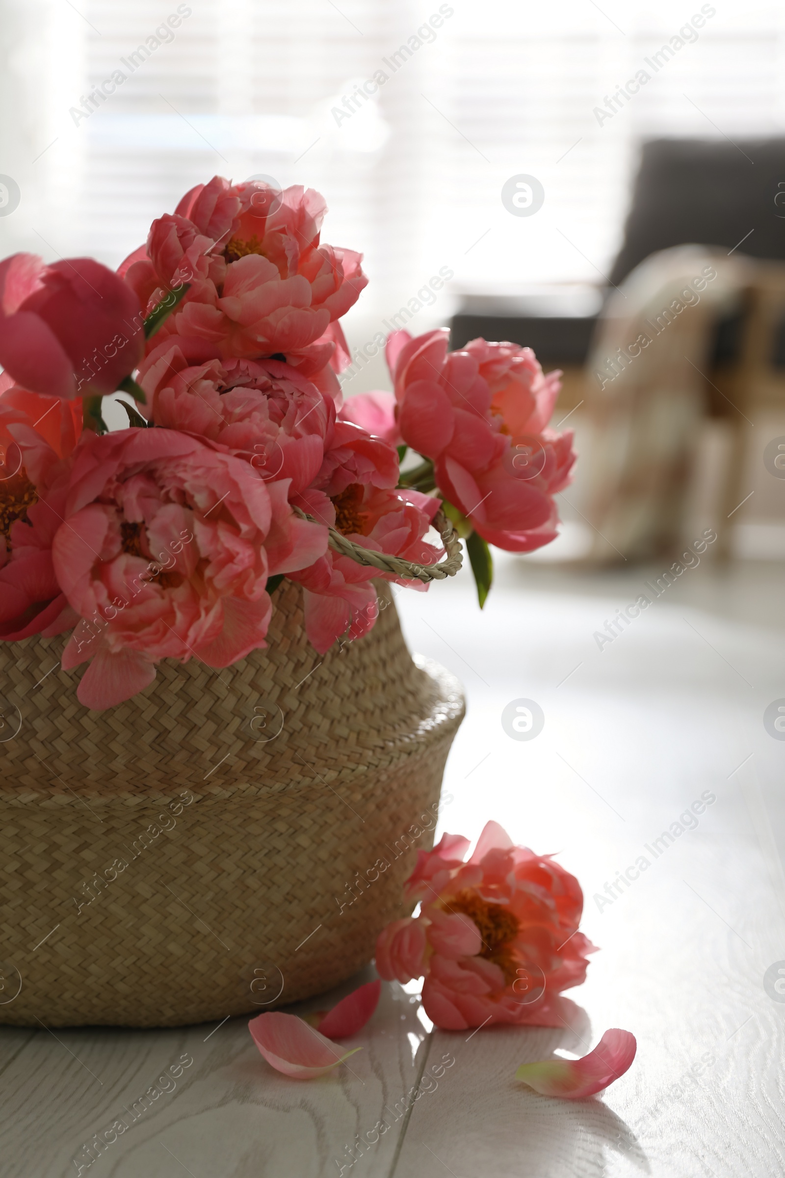 Photo of Beautiful bouquet of fragrant peonies on floor indoors