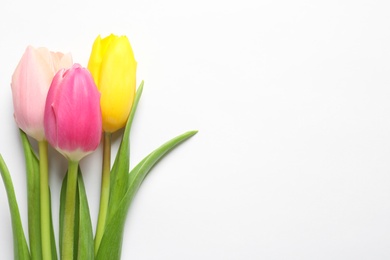 Photo of Beautiful spring tulips on white background, top view. International Women's Day