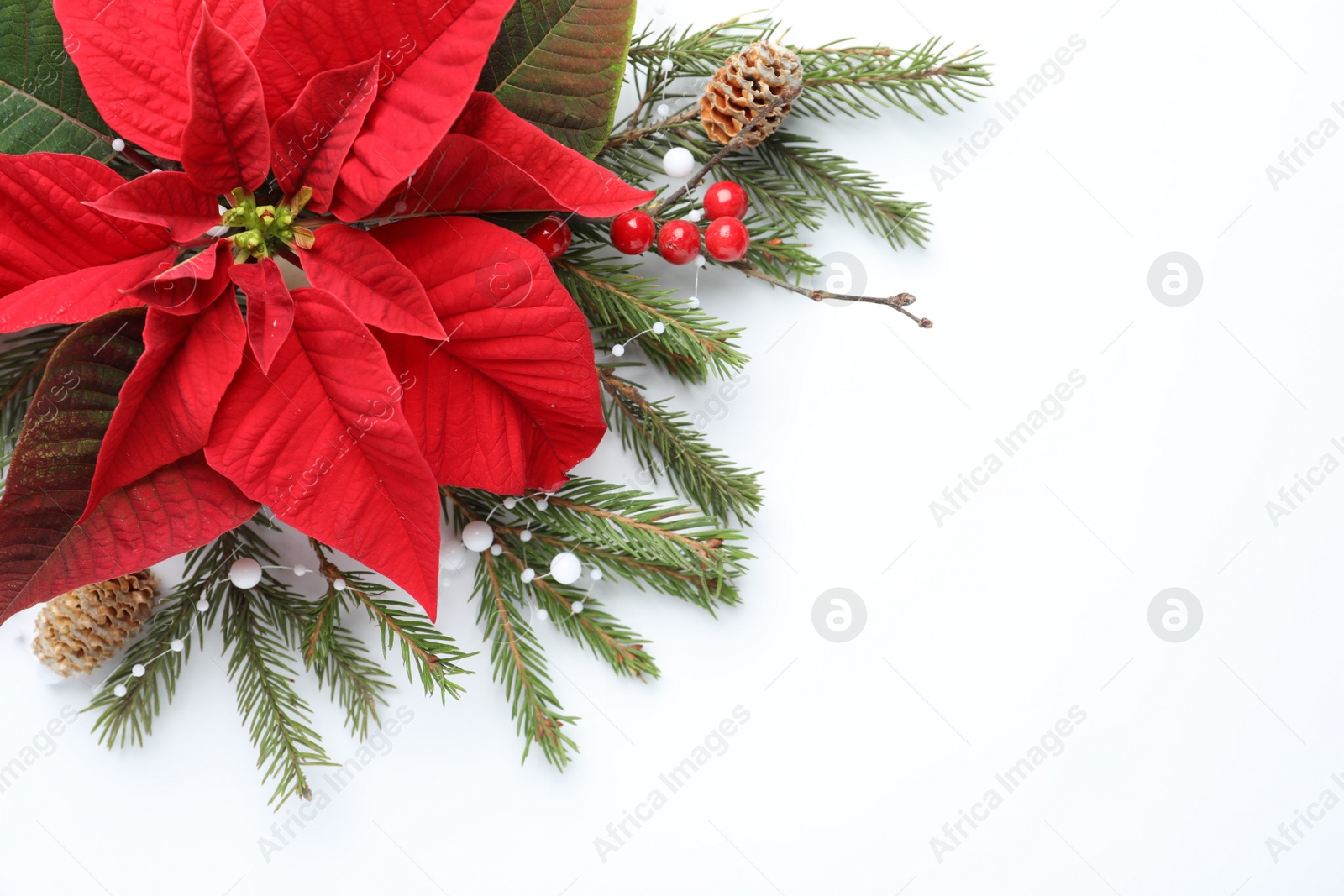 Photo of Flat lay composition with beautiful poinsettia on white background, space for text. Christmas traditional flower