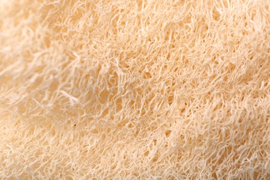 Loofah sponge as background, closeup. Personal hygiene product