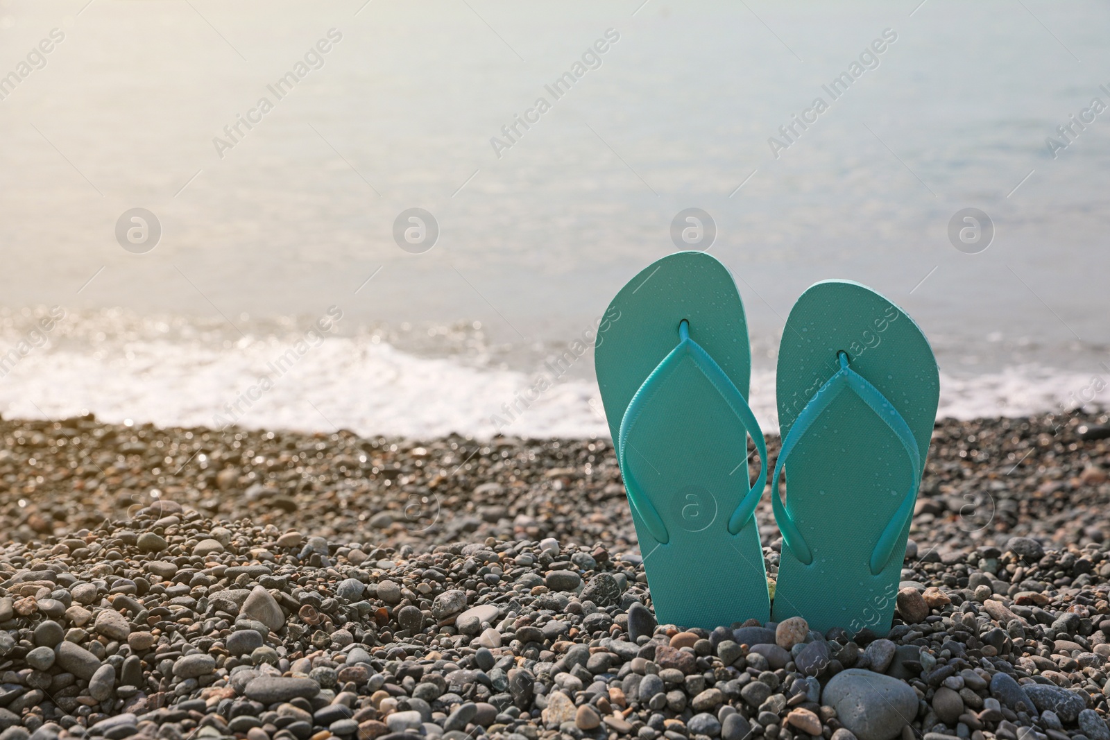 Photo of Stylish turquoise flip lops on pebble beach near sea, closeup. Space for text