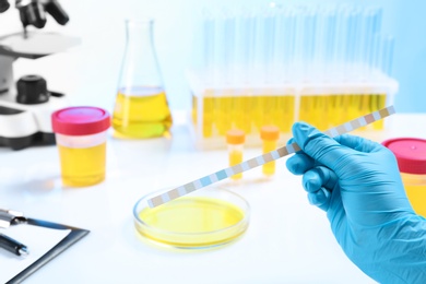 Laboratory assistant holding litmus paper for analysis over table, closeup