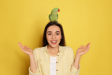 Young woman with Alexandrine parakeet on yellow background. Cute pet