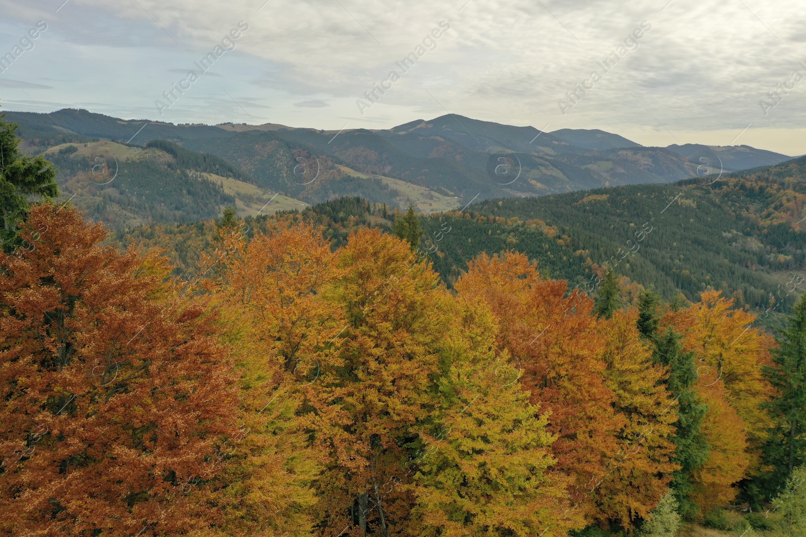 Photo of Aerial view of beautiful mountain forest on autumn day