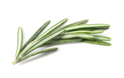 Photo of Fresh green rosemary twig on white background