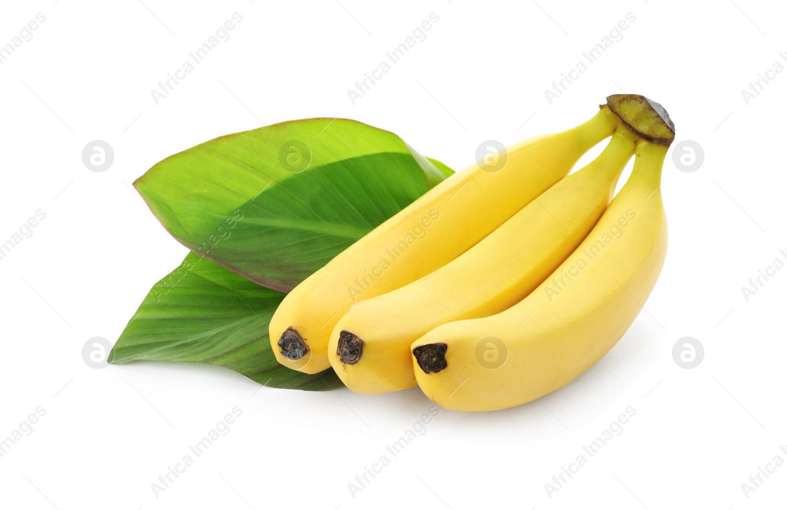 Photo of Cluster of delicious ripe bananas and green leaves isolated on white