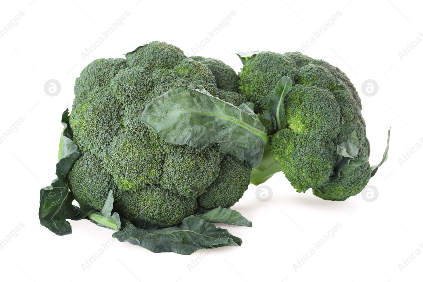 Photo of Fresh green broccoli isolated on white. Organic food