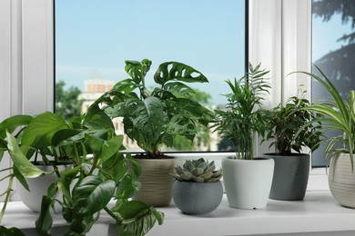 Different beautiful potted houseplants on window sill indoors