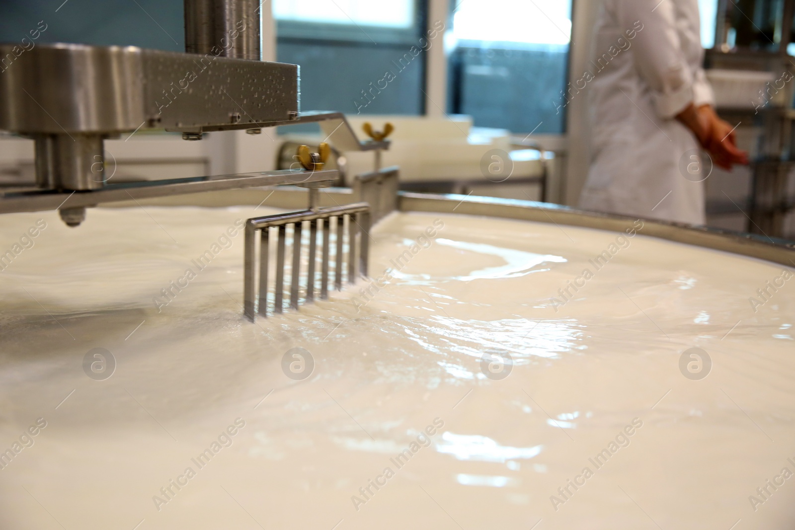 Photo of Milk in curd preparation tank at cheese factory, closeup